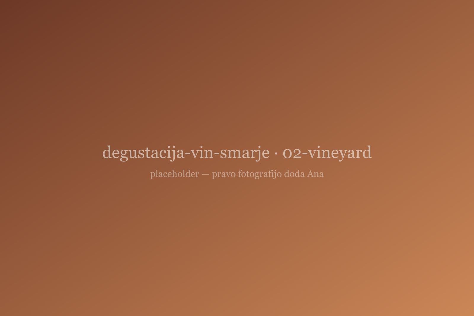 Vinograd nad Šmarjem v poznem popoldnevu