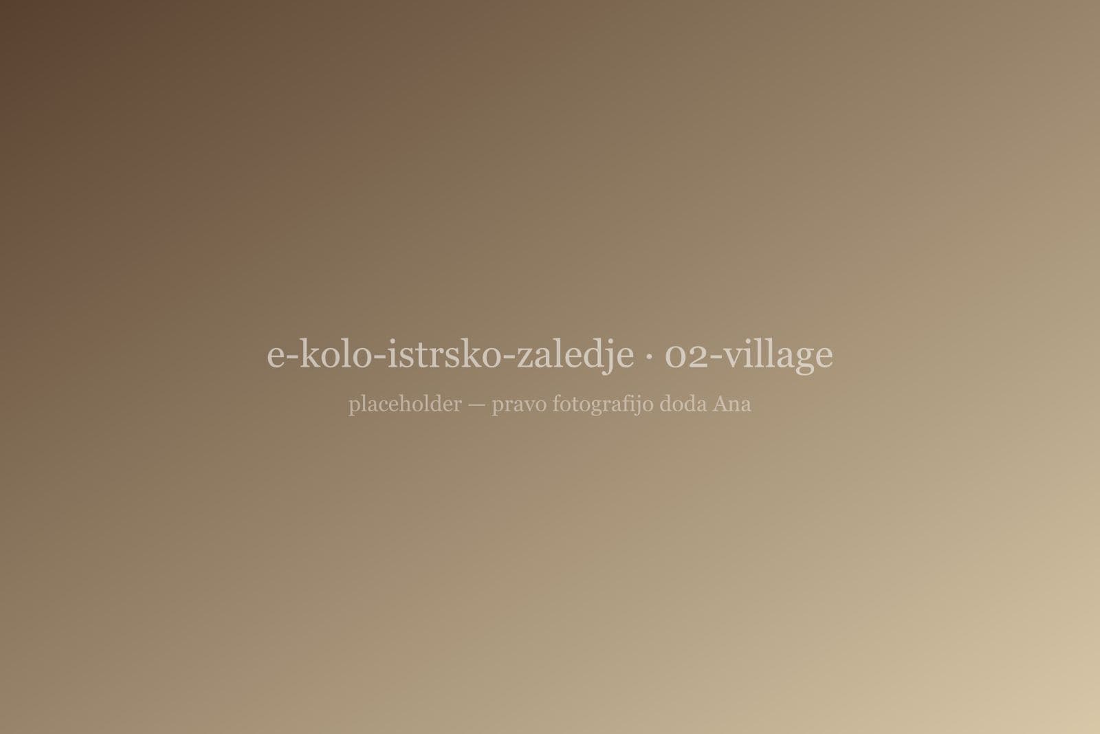 Kamnita istrska vas na griču